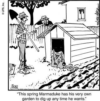 marmaduke